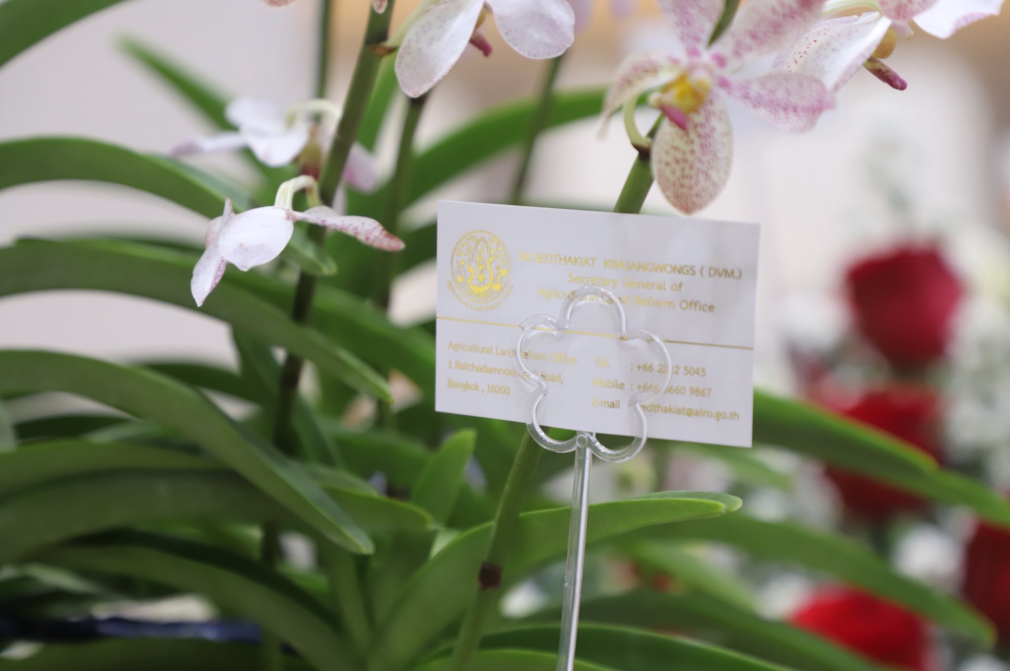 title - เลขาฯ ส.ป.ก. ร่วมงานวันชาติญี่ปุ่น ณ ศูนย์การประชุมแห่งชาติสิริกิติ์